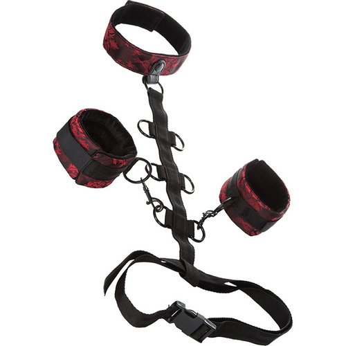 collar body restraint 1 500x500 1