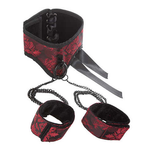 posture collar 500x500 1